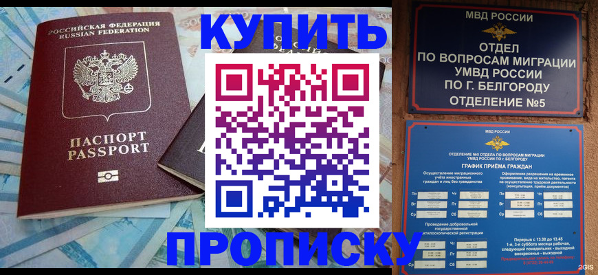 временная регистрация для школы в Нижнекамске